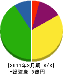 武田建材 貸借対照表 2011年9月期