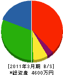 中村電気商会 貸借対照表 2011年3月期