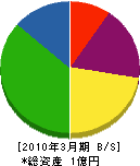 田中商店 貸借対照表 2010年3月期