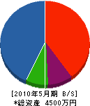 鈴木鉄工所 貸借対照表 2010年5月期