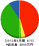 山川工業所 貸借対照表 2012年6月期