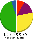 北海道総合通信網 貸借対照表 2012年3月期