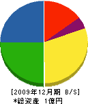中川塗装 貸借対照表 2009年12月期
