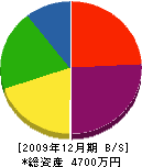 竹島工務店 貸借対照表 2009年12月期