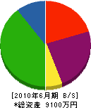 荻田製材 貸借対照表 2010年6月期