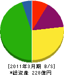 北海道総合通信網 貸借対照表 2011年3月期