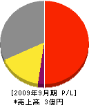 日建保全工業 損益計算書 2009年9月期