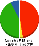 山川工業所 貸借対照表 2011年6月期