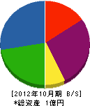 信濃広告 貸借対照表 2012年10月期