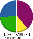 三重建設 貸借対照表 2009年12月期 三重建設 貸借対照表 2009年12月期