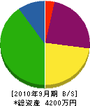 渓勝園 貸借対照表 2010年9月期