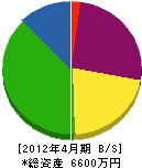 小塚電気商会 貸借対照表 2012年4月期