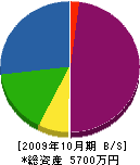 榊電設 貸借対照表 2009年10月期