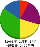竹田工務店 貸借対照表 2009年12月期