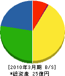 島田基礎工業 貸借対照表 2010年3月期