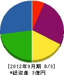 田山大理石 貸借対照表 2012年9月期