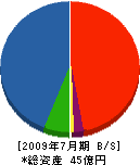 東日本コンクリート 貸借対照表 2009年7月期