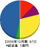 函館拓北電業 貸借対照表 2009年12月期