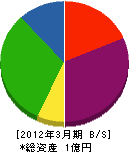 吉野電気 貸借対照表 2012年3月期
