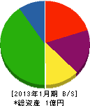 松枝工務店 貸借対照表 2013年1月期
