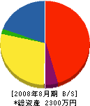 佐藤工業 貸借対照表 2008年8月期