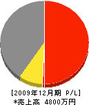 創輝建設 損益計算書 2009年12月期