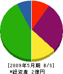 長田電業社 貸借対照表 2009年5月期