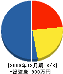 藤原電気 貸借対照表 2009年12月期