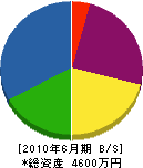 三浦電設 貸借対照表 2010年6月期