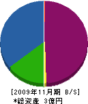 山田土建 貸借対照表 2009年11月期