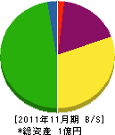 メイゾン岩沢 貸借対照表 2011年11月期
