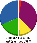 川越板金工業所 貸借対照表 2009年11月期