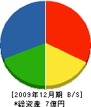 関東梯子 貸借対照表 2009年12月期