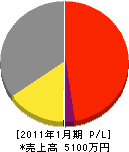 竹島電機 損益計算書 2011年1月期