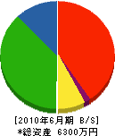 上野塗工 貸借対照表 2010年6月期