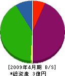 *山建材興業 貸借対照表 2009年4月期 *山建材興業 貸借対照表 2009年4月期