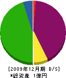 平井石産 貸借対照表 2009年12月期
