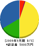 松久組 貸借対照表 2009年9月期