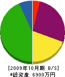 菊電工業 貸借対照表 2009年10月期
