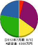 坂本産業 貸借対照表 2012年7月期