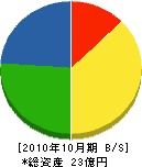 東京ワックス 貸借対照表 2010年10月期