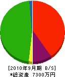 仲田塗装 貸借対照表 2010年9月期