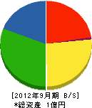 新陽電気 貸借対照表 2012年9月期