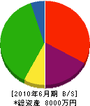 榎本工業 貸借対照表 2010年6月期