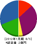 丸カ片山商店 貸借対照表 2012年1月期