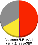 マルハチ 損益計算書 2009年9月期