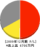 中島浄水化学 損益計算書 2009年12月期