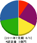 肱川電機 貸借対照表 2011年7月期