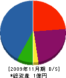 明治産業 貸借対照表 2009年11月期 明治産業 貸借対照表 2009年11月期