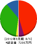 澤山電設 貸借対照表 2012年9月期